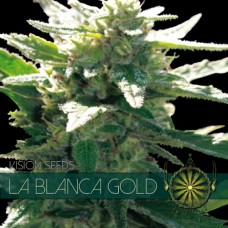 La Blanca Gold Feminised