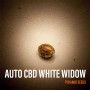 Auto CBD White Widow Feminised