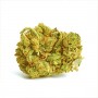 Amnesia Lemon Feminised Gold