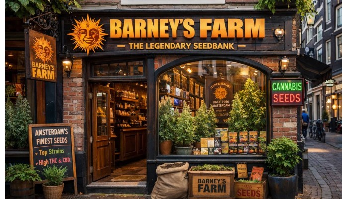 Barney’s Farm: легендарний сідбанк насіння конопель з Амстердама