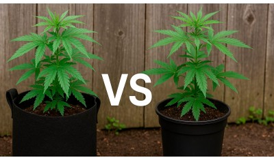 Тканевые горшки vs пластиковые