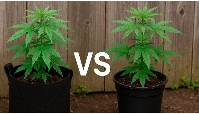 Тканинні горщики проти пластикових