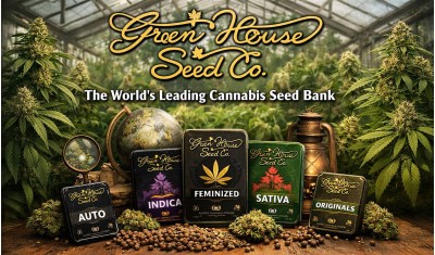 Green House Seeds: сидбанк, ставший эталоном мировой селекции семян каннабиса