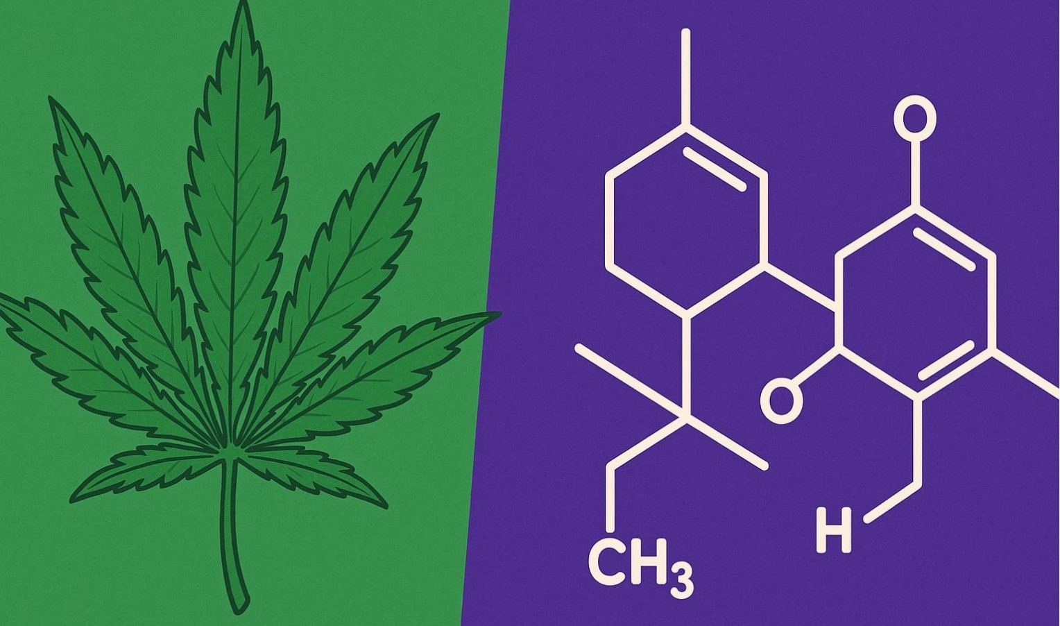 Почему одни сорта 30%+ ТГК, а другие — нет?