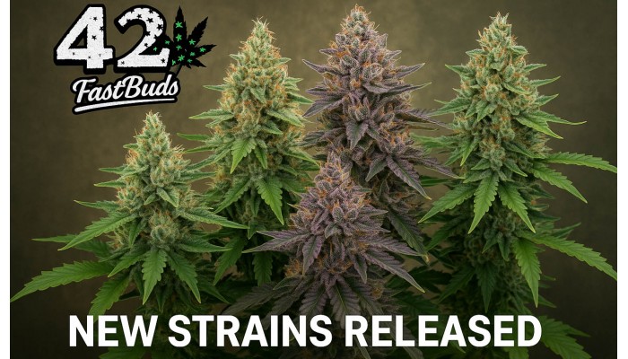 FastBuds: еталон швидкості та якості у світі автоцвітучих рослин