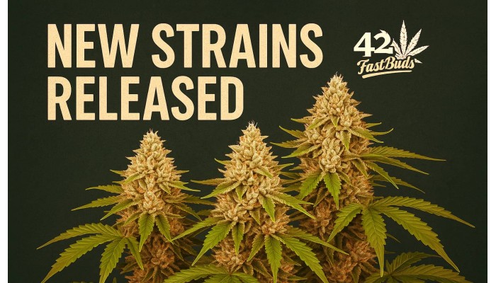 FastBuds: the best autoflowering cannabis seeds