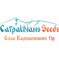 Carpathians Seeds