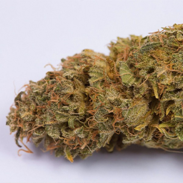 Auto OG Kush Feminised seeds