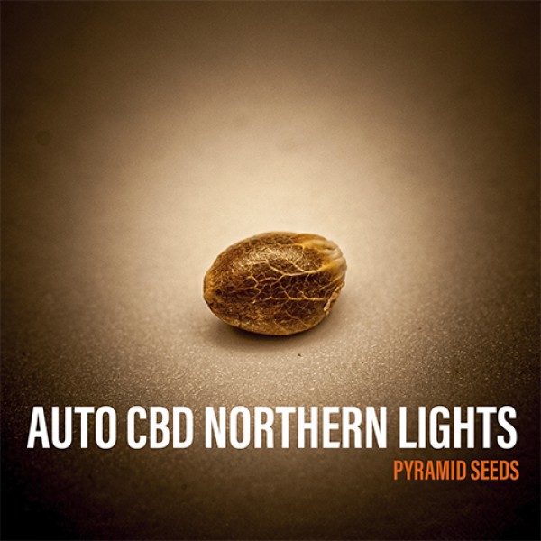 Auto CBD Northern Lights Feminised seeds