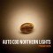 Auto CBD Northern Lights Feminised seeds