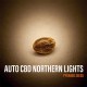 Насіння Auto CBD Northern Lights Feminised Насіння Auto CBD Northern Lights Feminised