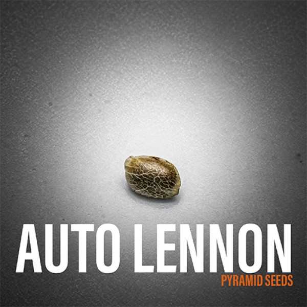 Auto Lennon Feminised seeds