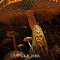 Mushroom spores Golden Teacher