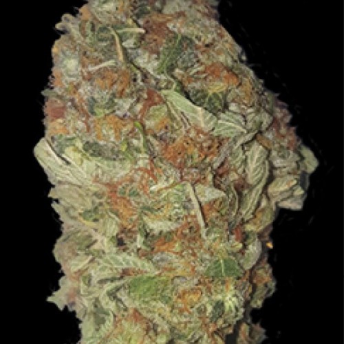 Green Candy Feminised seeds