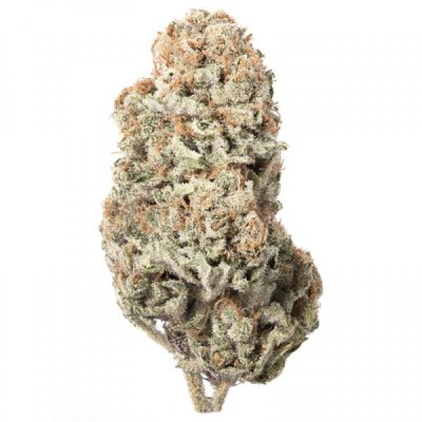 CBD Galaxy Feminised seeds