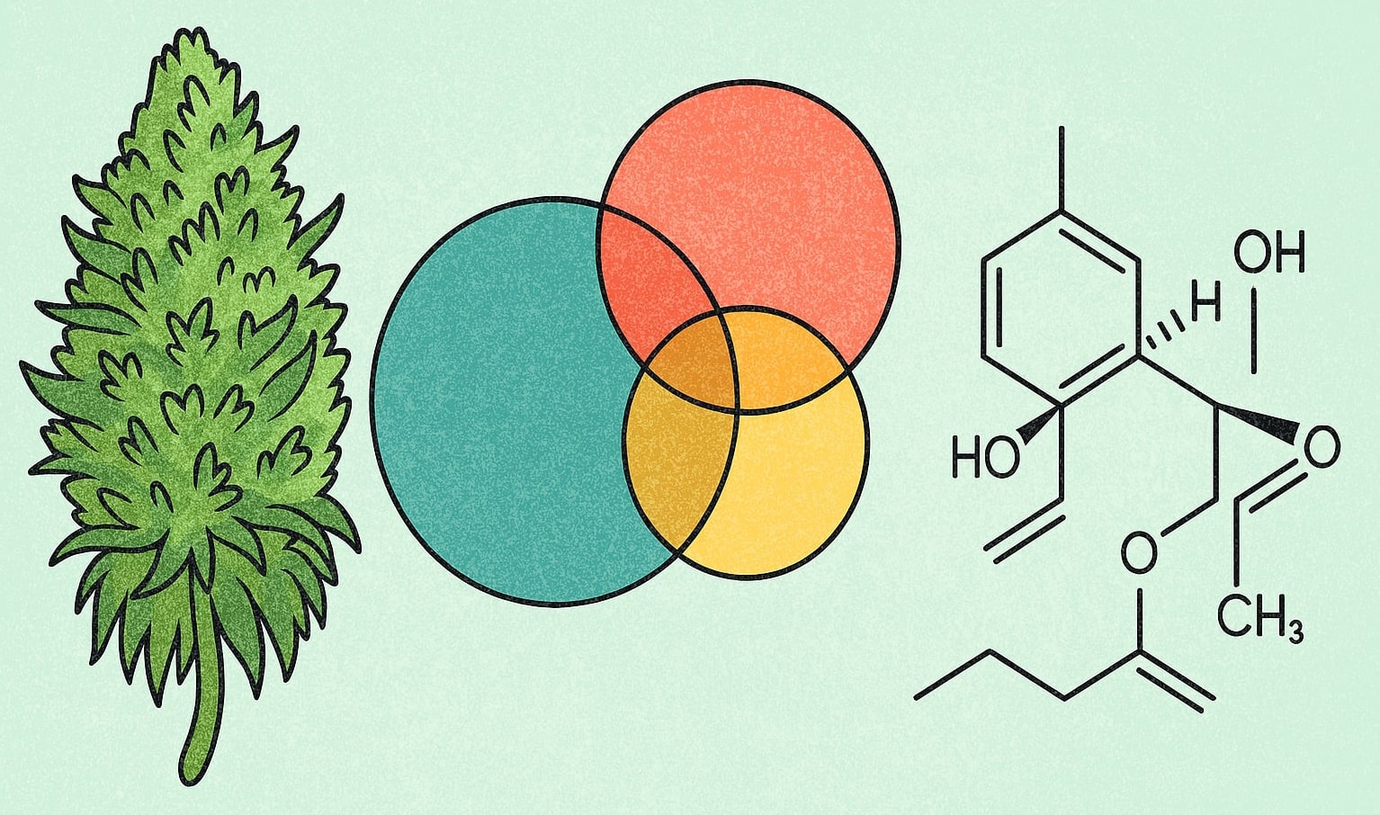 мощные семена марихуаны