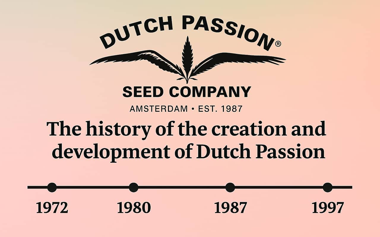 История создания и развития Dutch Passion История создания и развития Dutch Passion