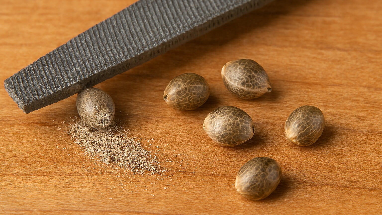 купить семена ганжи