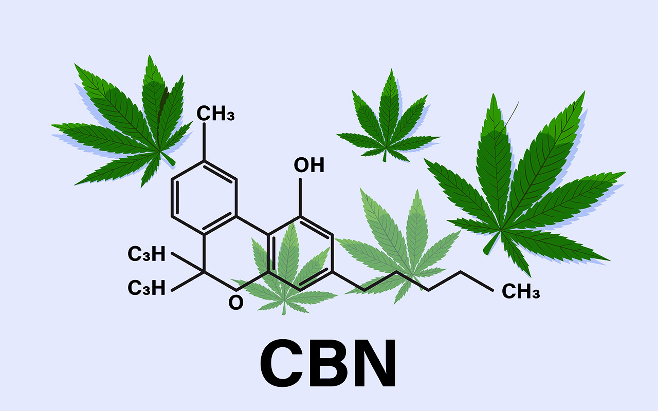 Properties and effects of CBN cannabinol